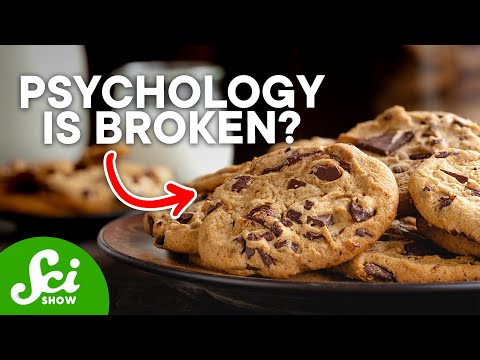 The Problem with Willpower and Self-Control | A Psychology Experiment